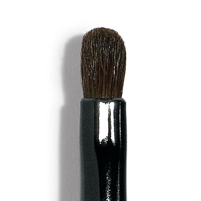 Retractable Lip Brush