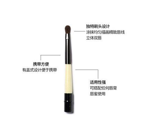 Retractable Lip Brush